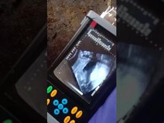 الماسح الضوئي بالموجات فوق الصوتية البيطرية المحمولة BR-VET7