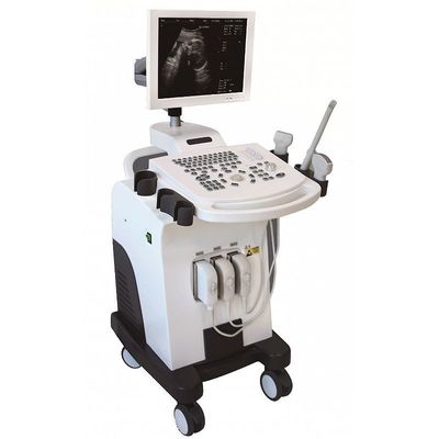 Full-digital Trolley Ultrasound Machine