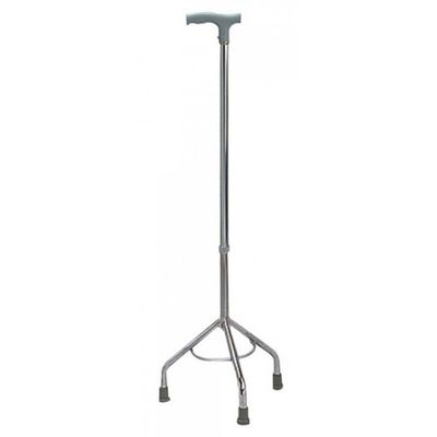 Cane