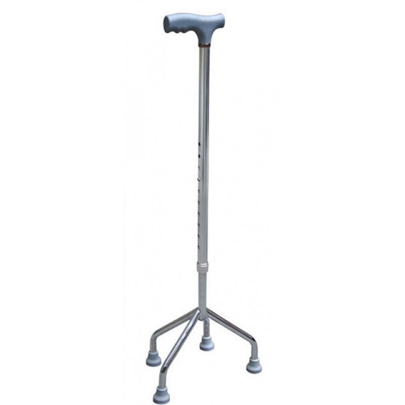 Cane